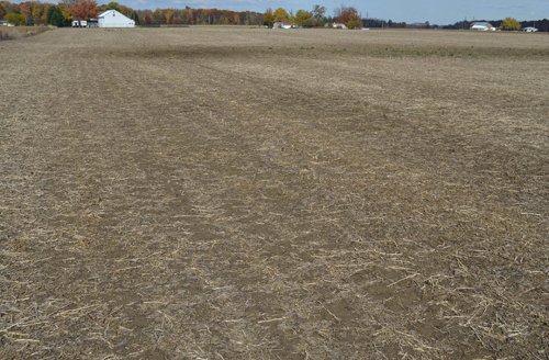 Property photo 23 - 75.3 Acres Offered in 2 Tracts